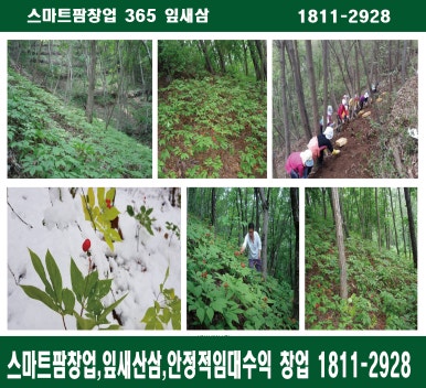 주식회사 잎새삼 이미지