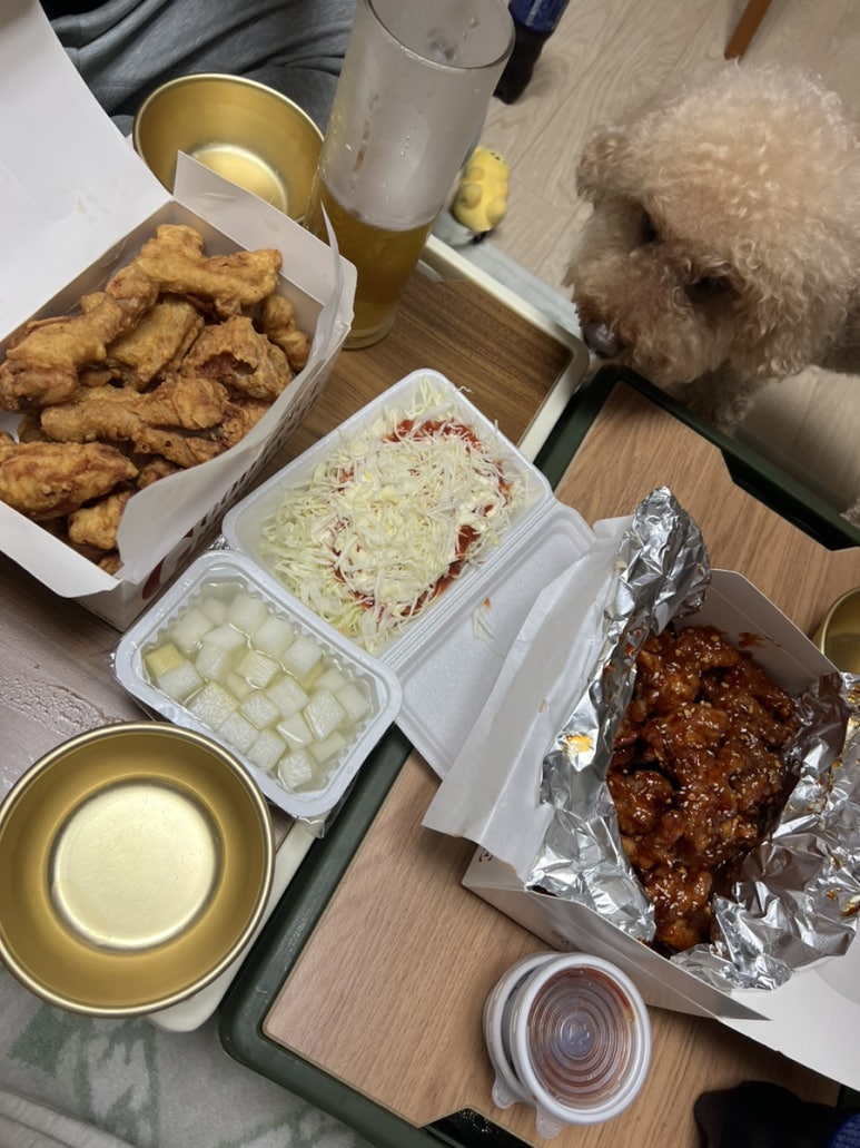 미스터꼬끼오 이미지