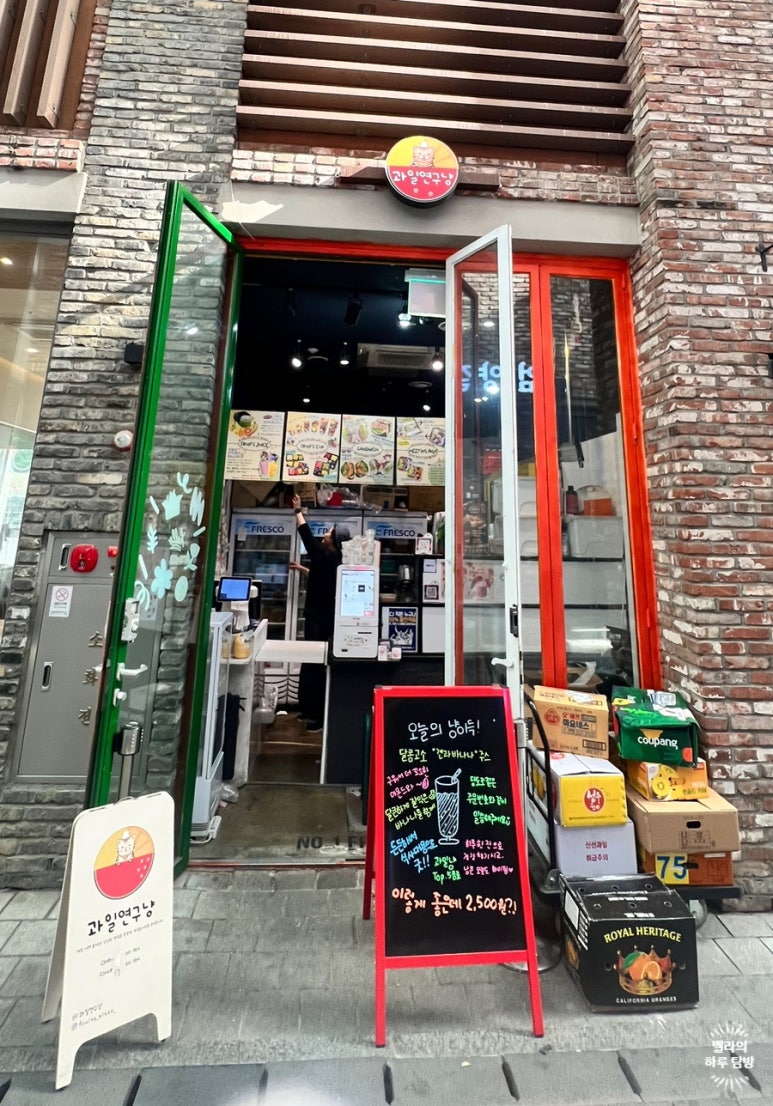 과일연구냥 이미지