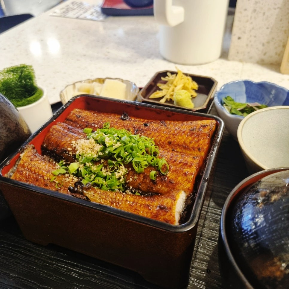 심원장어 이미지