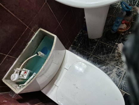 메지탐 이미지