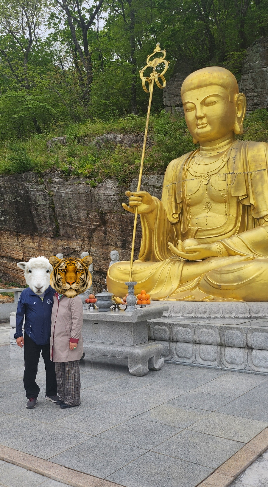 명태가도 이미지