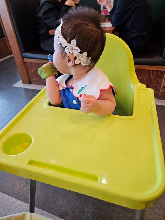 플렌비 이미지