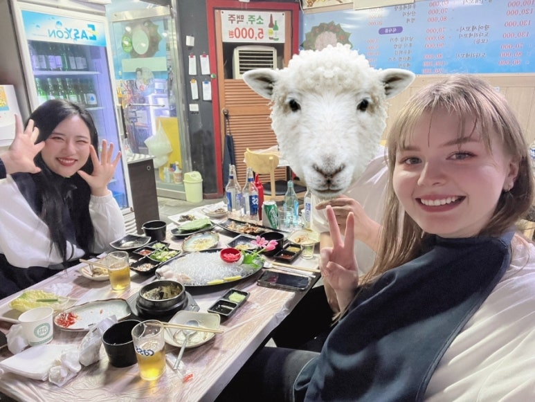 해랑어시장 이미지