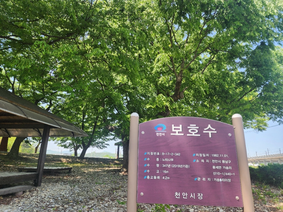 제일육묘장 이미지