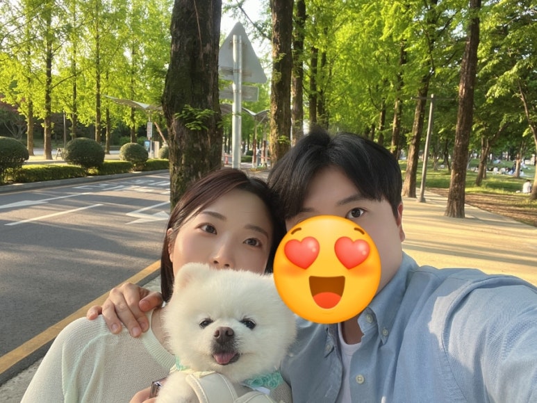 호식이두마리치킨전대 이미지