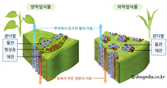 오미원 이미지