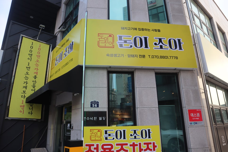 회조아 이미지