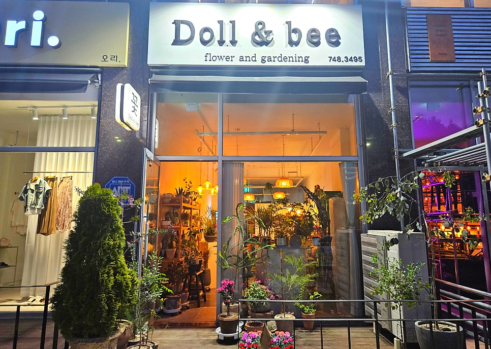 돌앤비 이미지