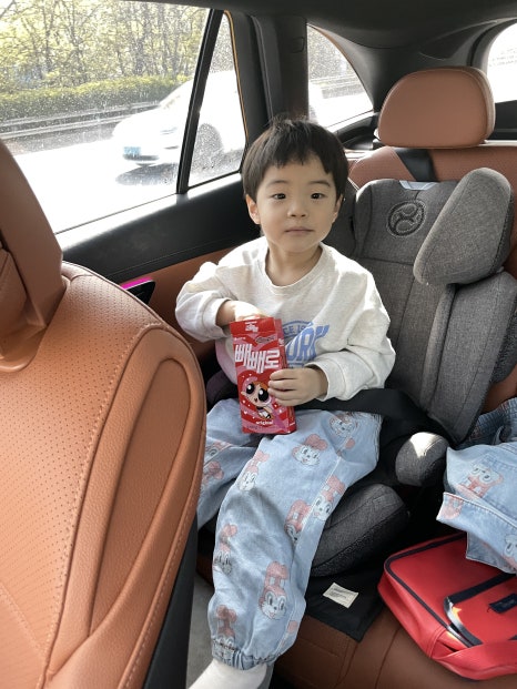 와이제트에이치큐 이미지