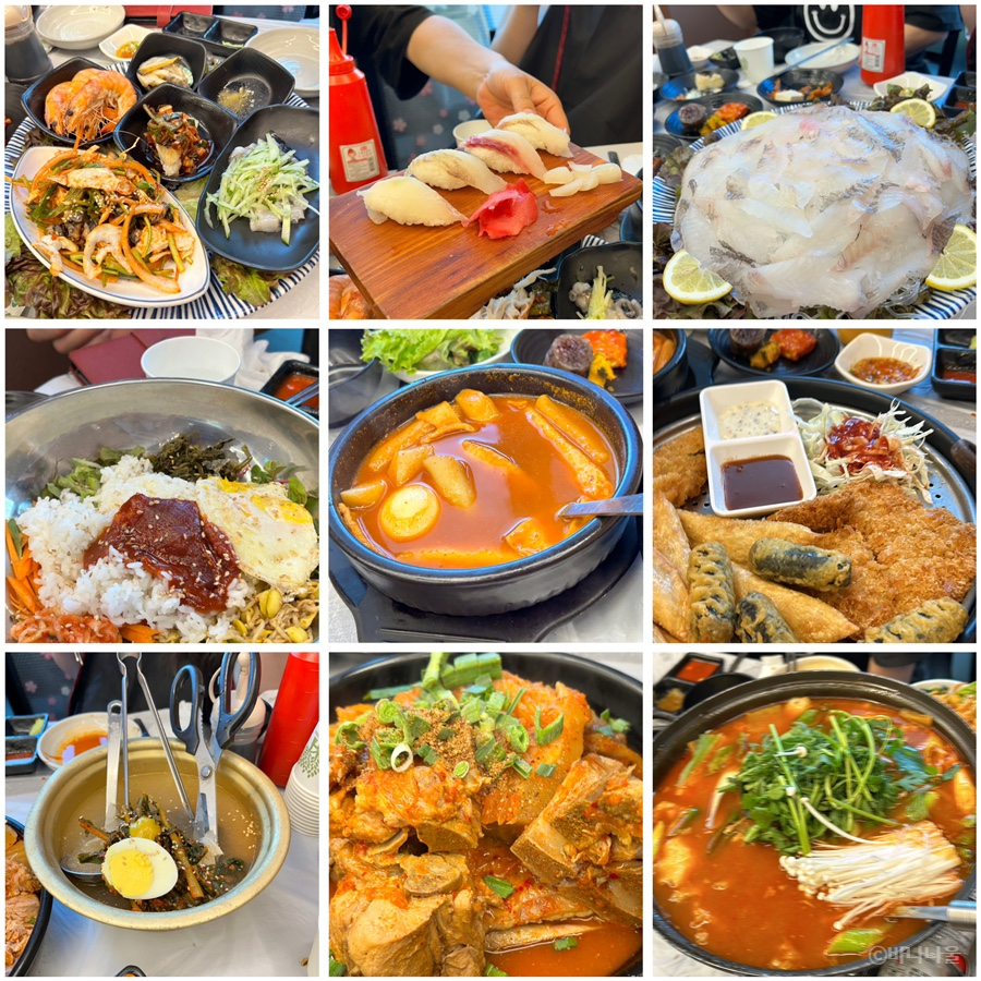 돌고래회 이미지