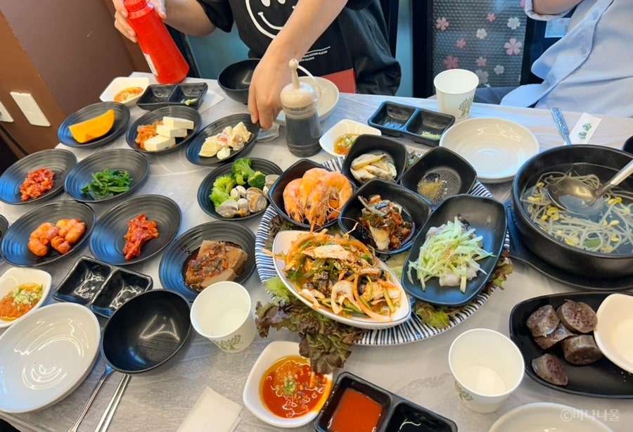 돌고래회 이미지