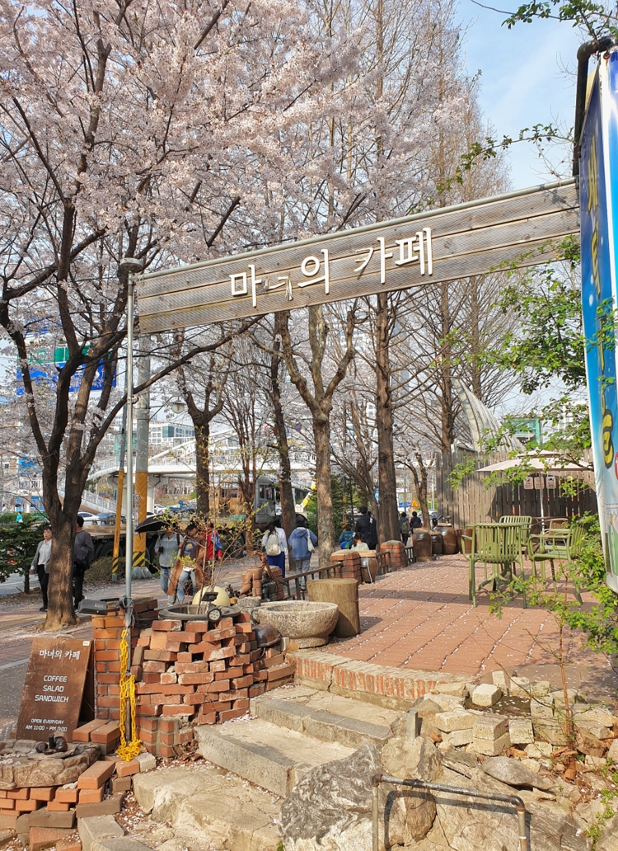 카페마녀 이미지