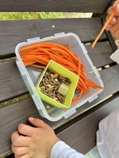 펫힐링달빛동물원 캠핑장 이미지