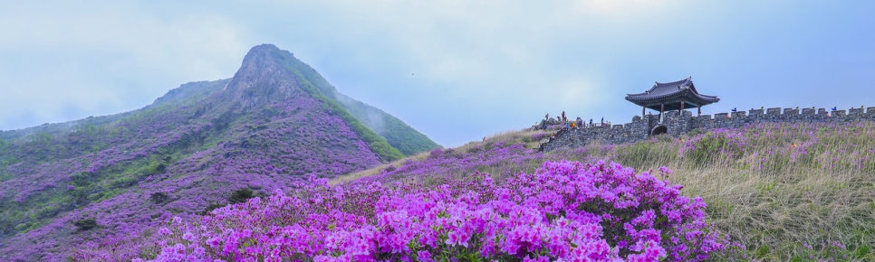 황매산가든 이미지