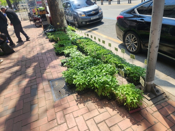 해인농약종묘사 이미지