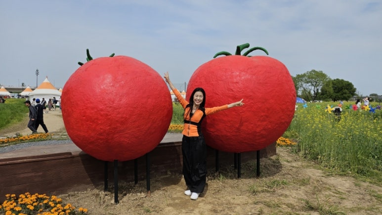 토마토댄스스포츠학원 이미지
