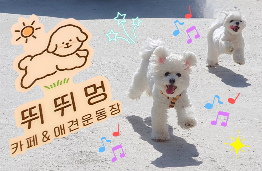 뛰뛰멍 이미지