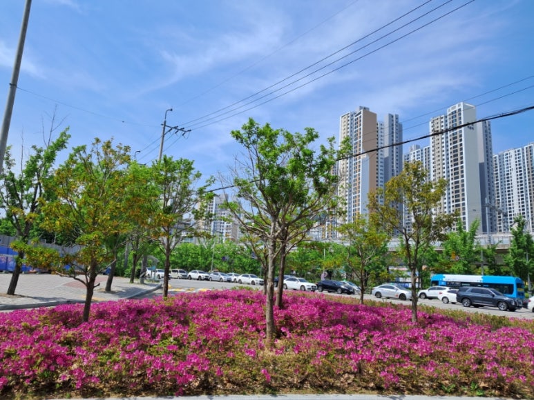 중앙적성출판사 이미지