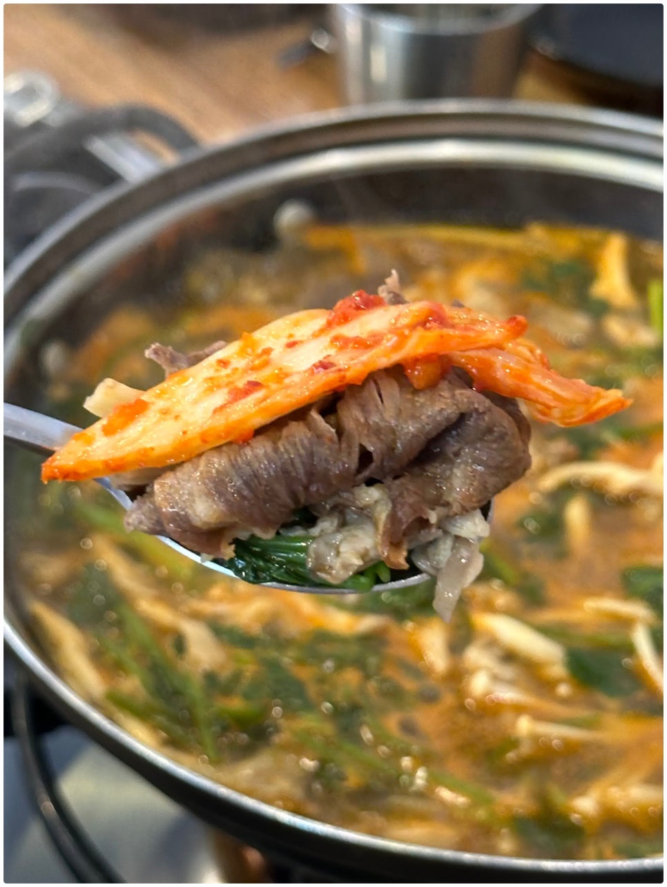뽕빨샤브버섯칼국수 이미지