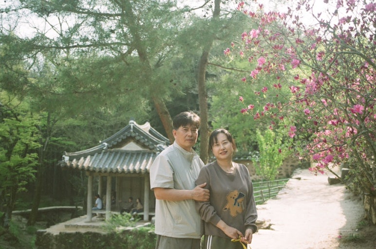 신신칼라 이미지