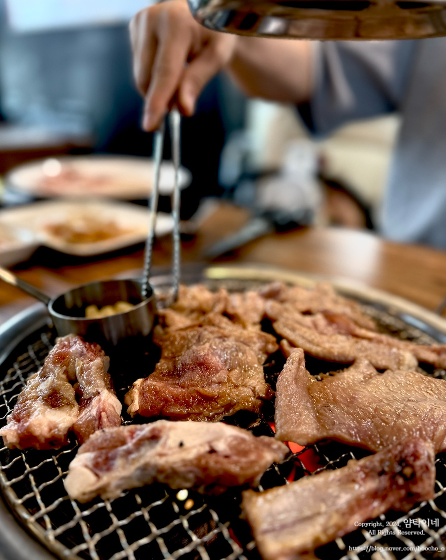 달달구리소담 이미지