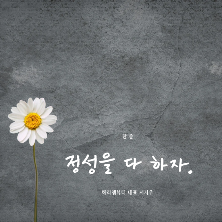 다헤라 뷰티 이미지