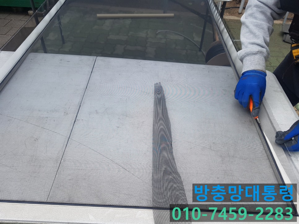 방충망대통령 이미지