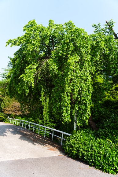 삼풍가든 이미지