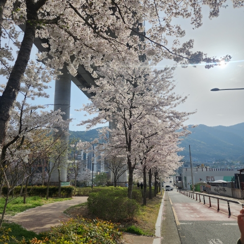 이오커피 이미지