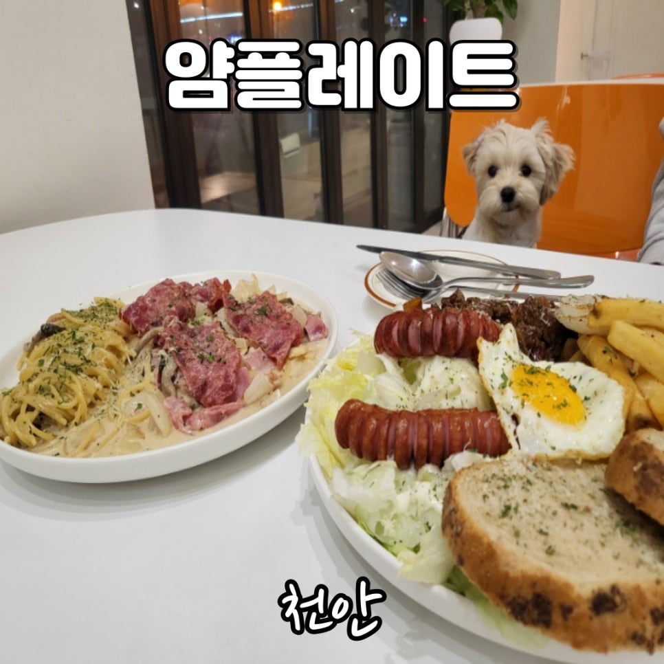얌플레이트 이미지