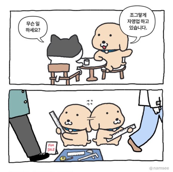 달렉스 이미지