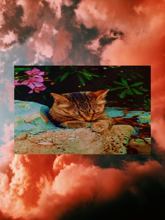 강화식품원 이미지