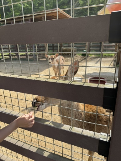 펫힐링달빛동물원 캠핑장 이미지