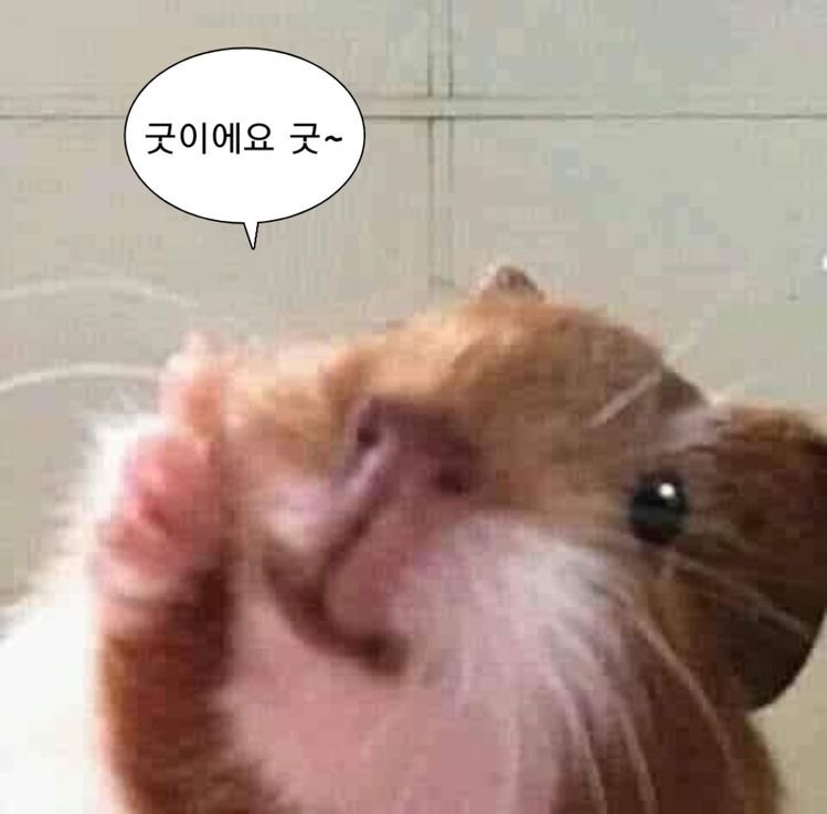 은은하당 이미지