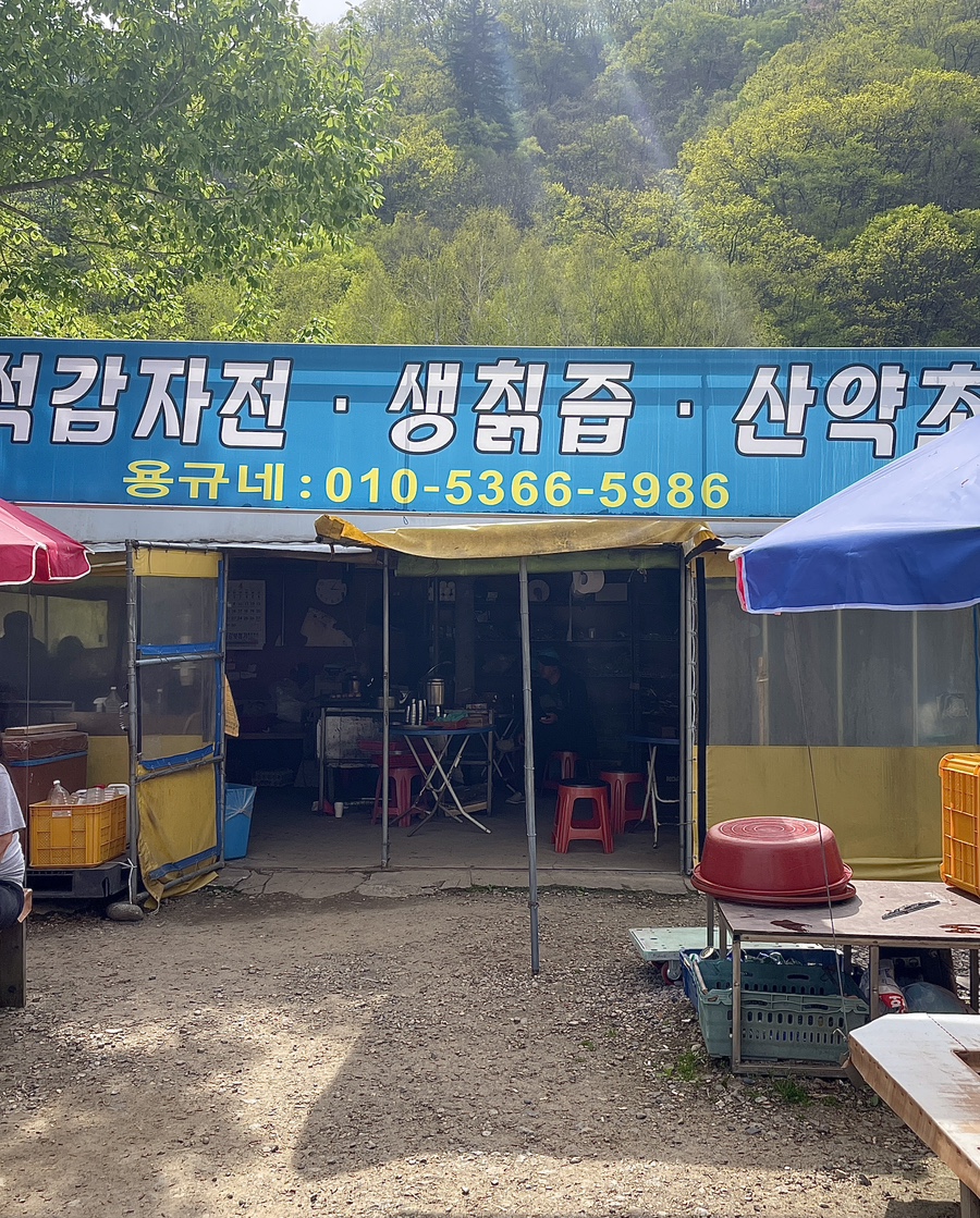 용규네 이미지