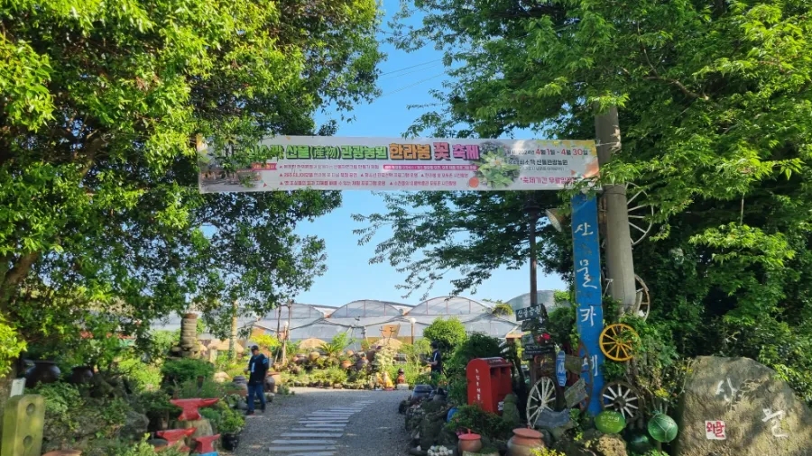 한라봉관광 이미지