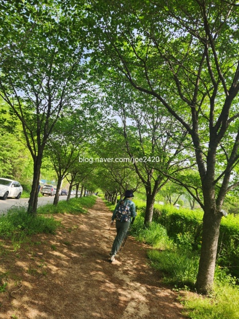 광교산농수산물 이미지