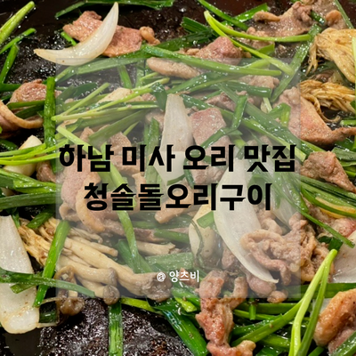 청솔돌오리구이 이미지