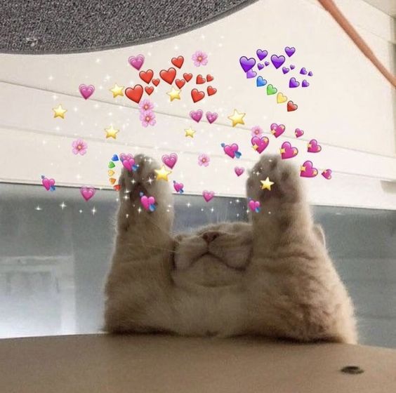 리가든 이미지