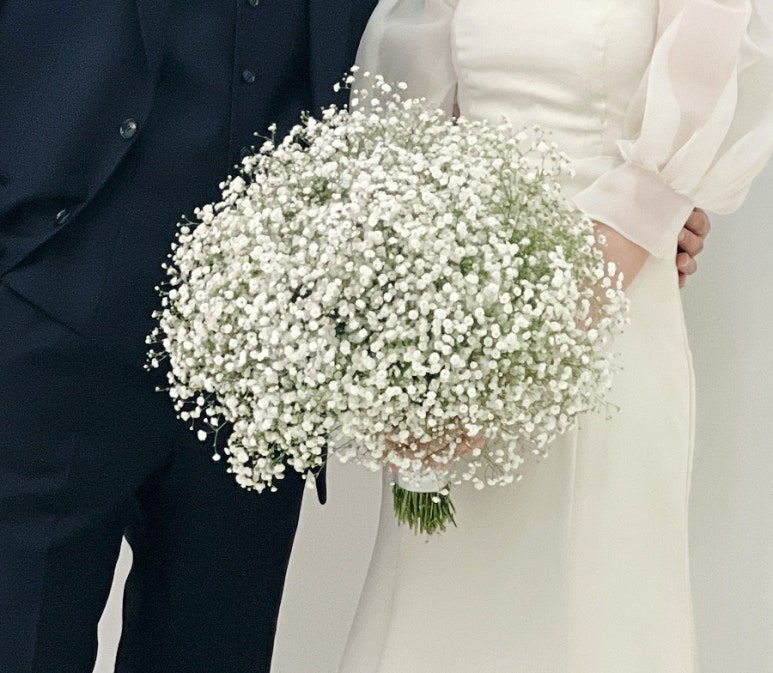 로제포토그래피 이미지