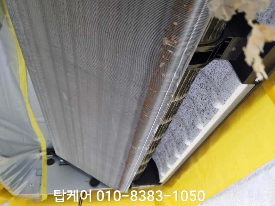 티오피케어 이미지
