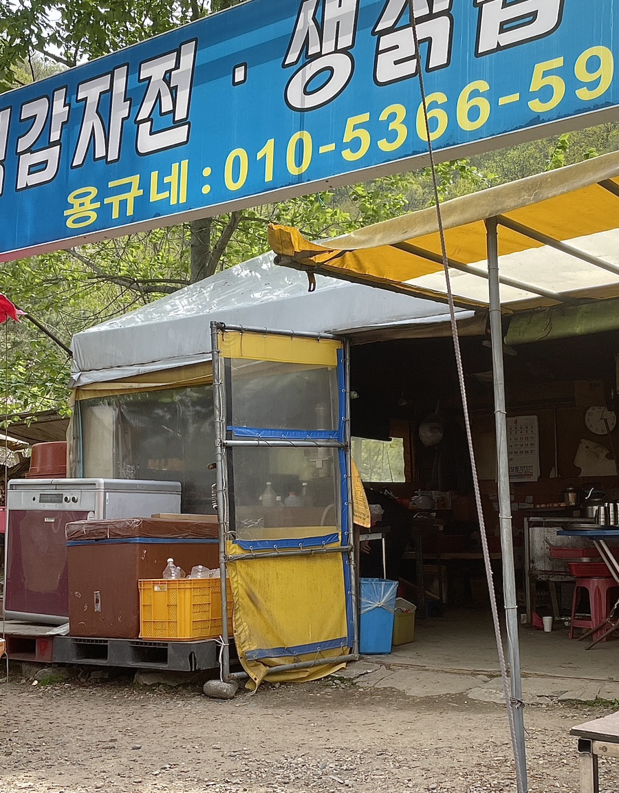 용규네 이미지