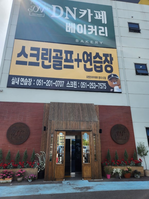 디엔예스 이미지