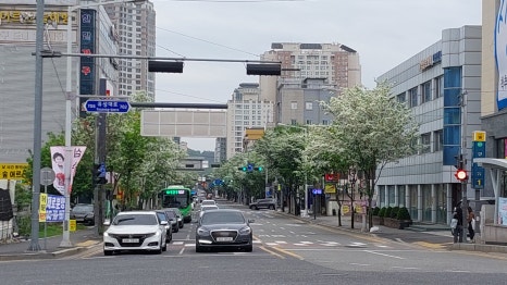 하시모토겐죠미장 이미지