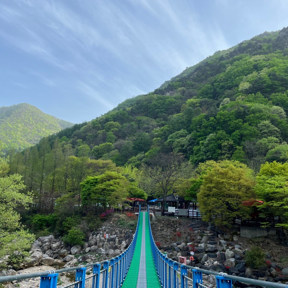 장령산자연휴양림 야영장 이미지