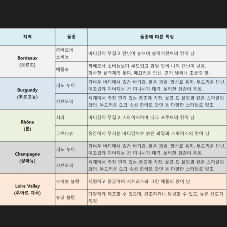 비뉴 이미지