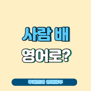 먹는 배, 과일 배, 타는 배, 사람 배 영어로 뭘까? 한 번에 알아보자 : 네이버 블로그