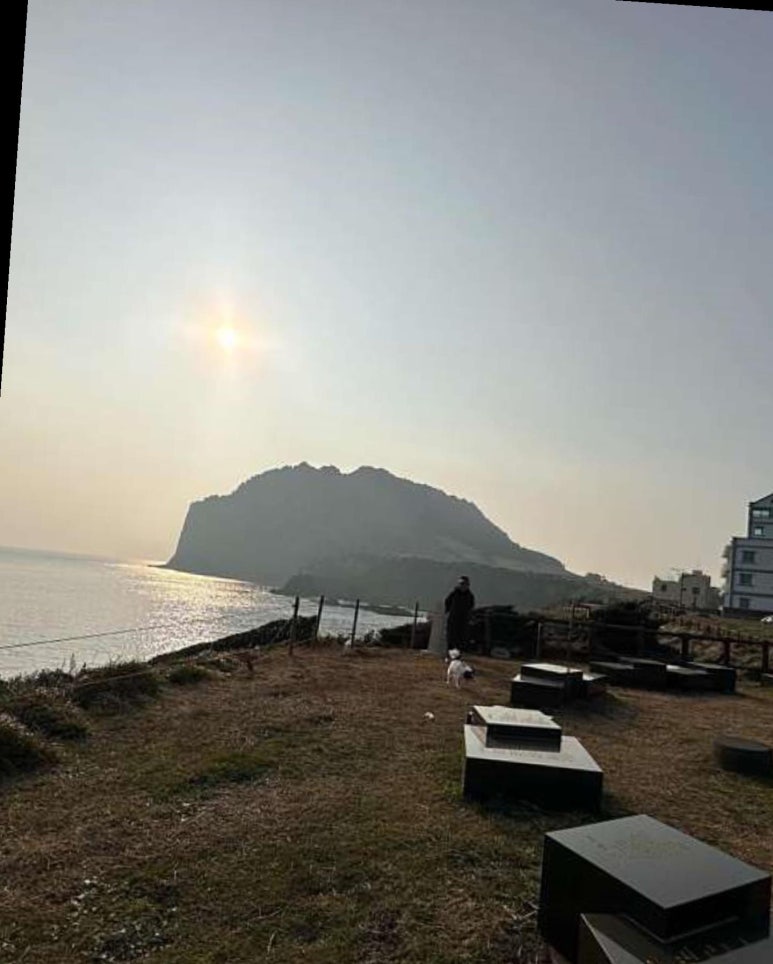 비자노아 이미지
