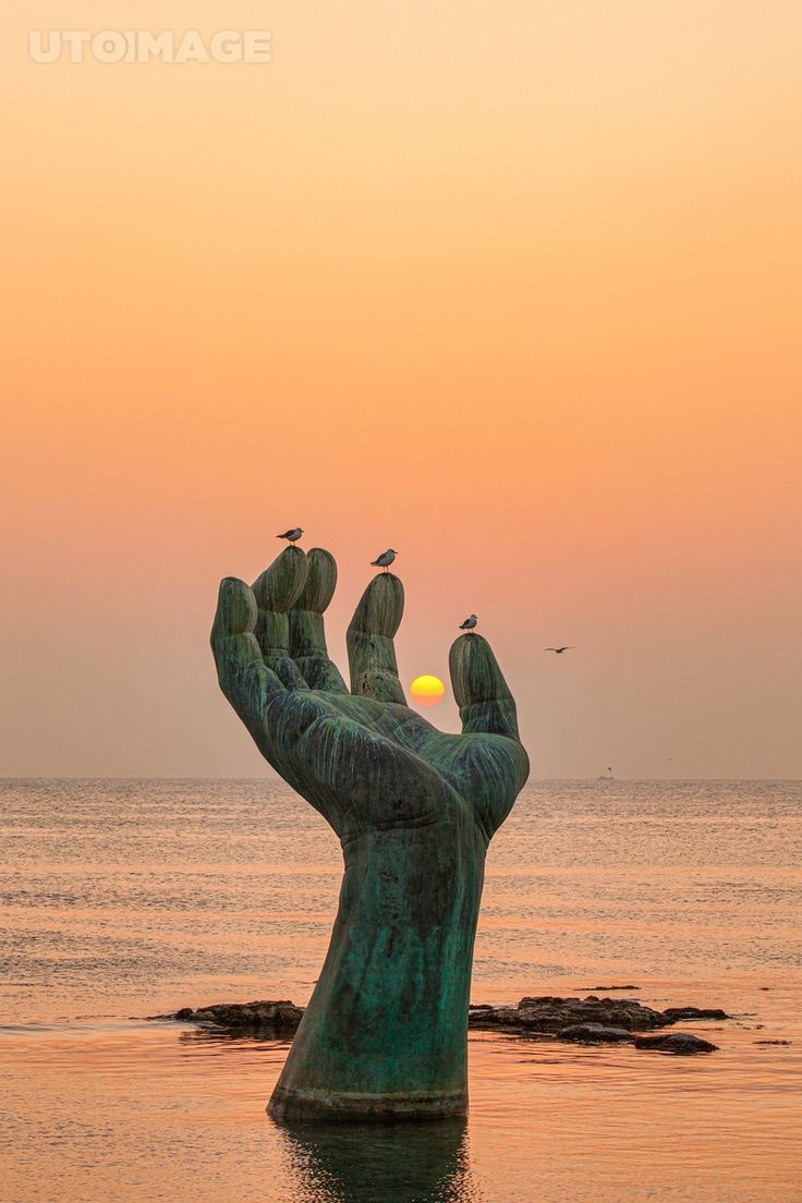 동해산곰장어 이미지